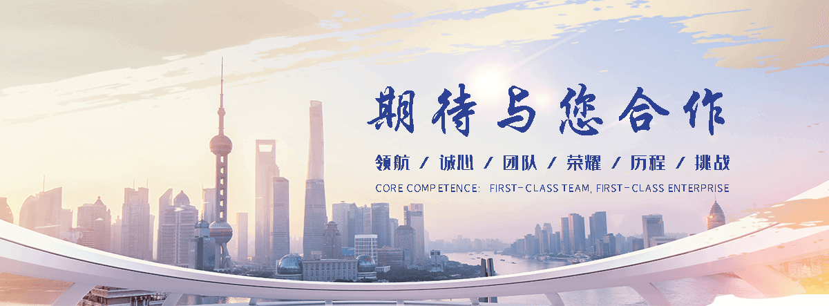 徐州海狮租赁公司